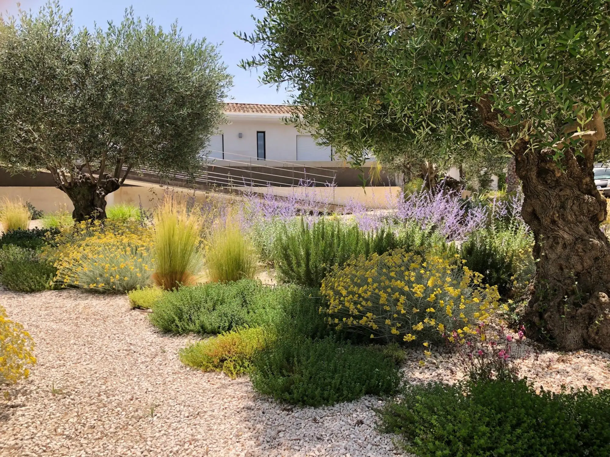 Entretien de jardin