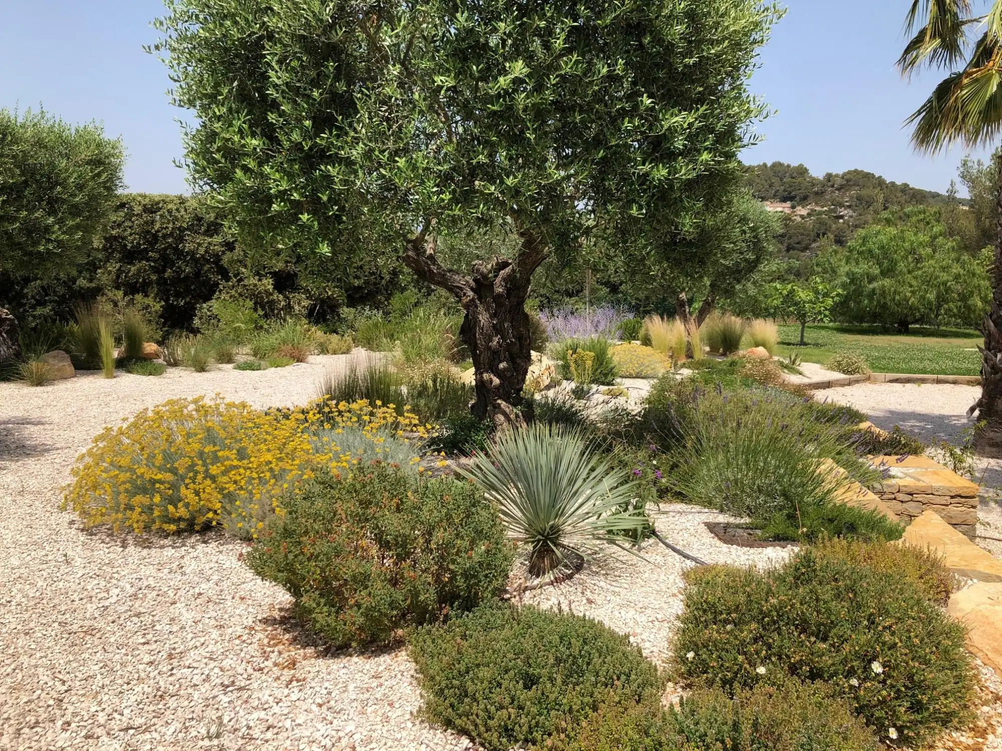 Entreprise de jardinage Bandol présentation