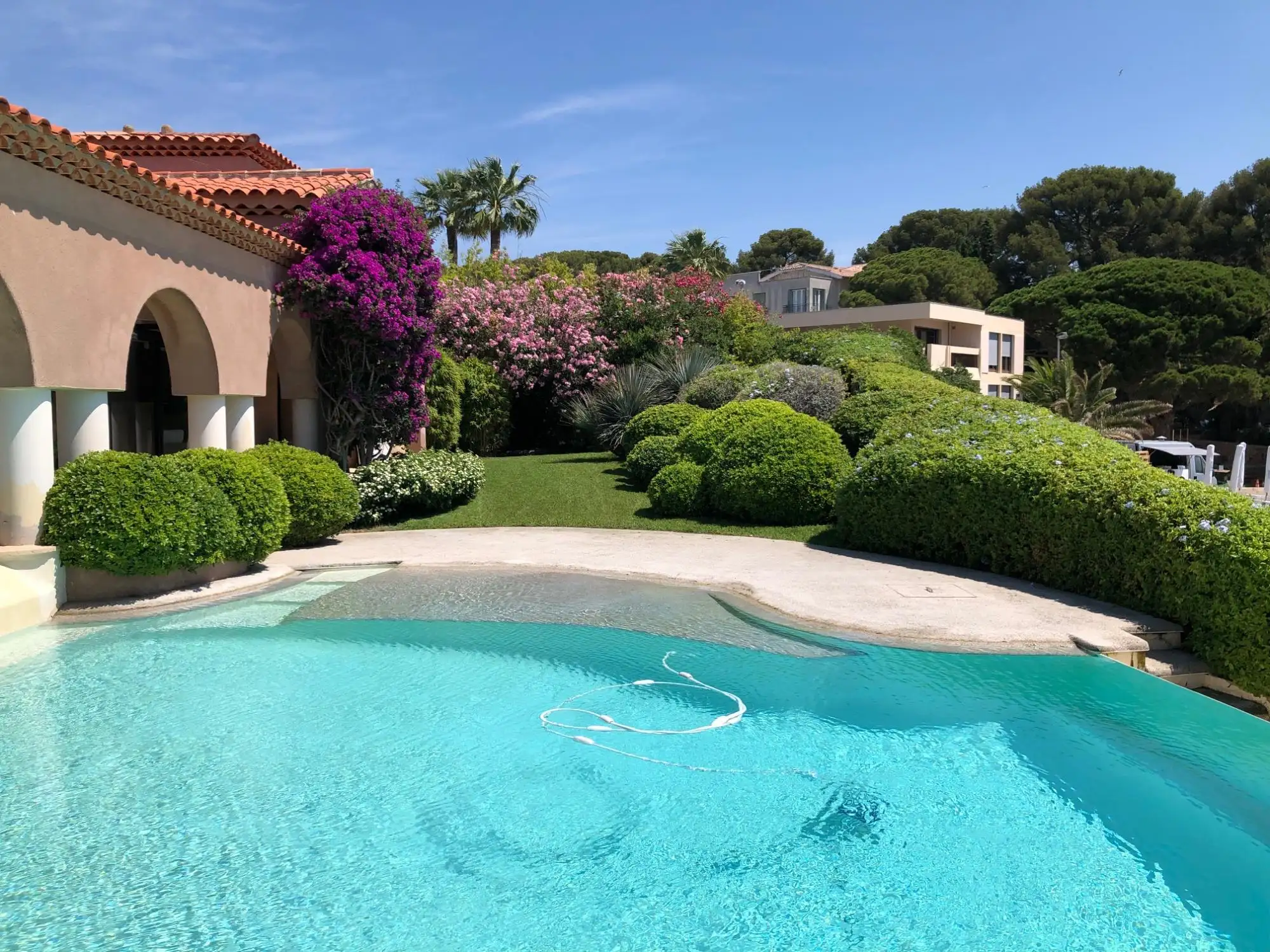 Entreprise de jardinage Bandol Yellow Paysage