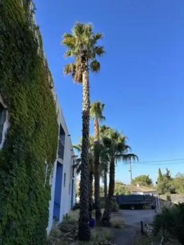 Entretien de jardin Bandol lagueur