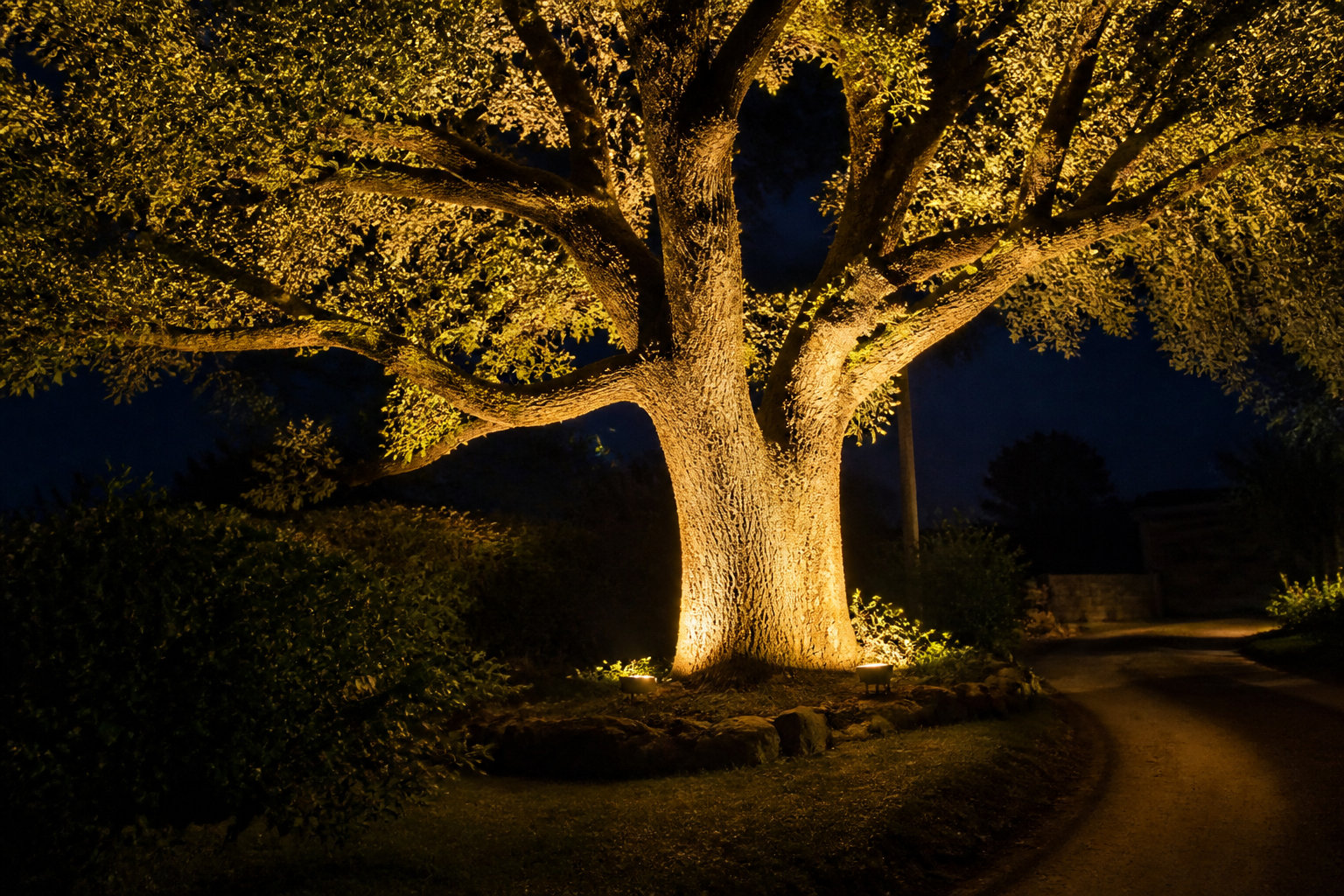 L'éclairage des arbres pour sublimer votre jardin